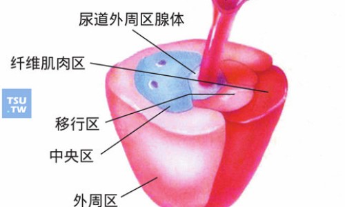 八珍鹿胎颗粒副作用和危害-深圳同仁堂八珍鹿胎颗粒网—知名的八珍鹿胎颗粒适合什么人吃网站,分享八珍鹿胎颗粒副作用和危害知识