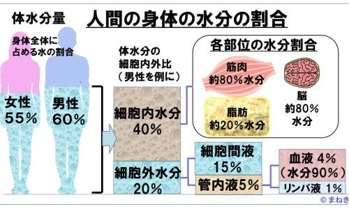 八珍鹿胎膏价格-深圳同仁堂八珍鹿胎颗粒网—知名的八珍鹿胎颗粒适合什么人吃网站,分享八珍鹿胎颗粒副作用和危害知识